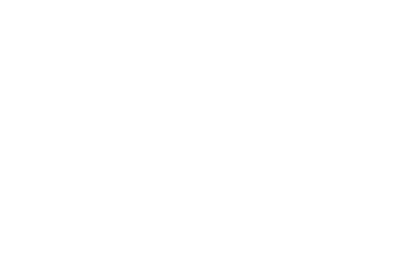 President's Day Sale Logo
